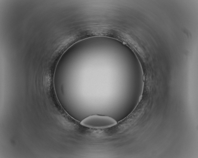 X0000112490113200908171256