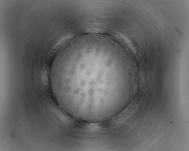 X0000112490114200908171256