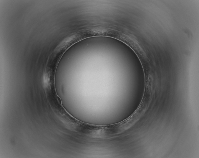 X0000112490116200908171256