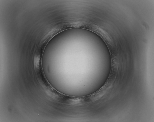 X0000112490118200908171256