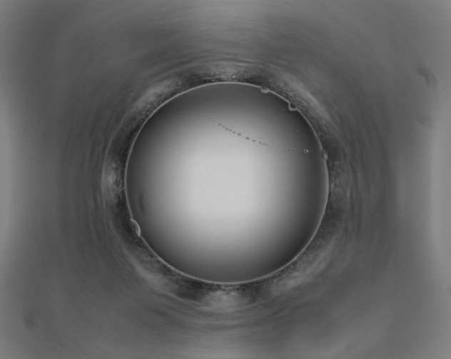 X0000112490119200908171256