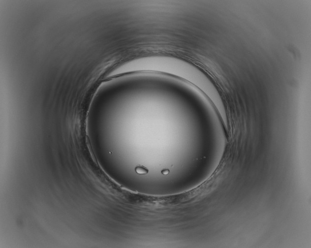 X0000112490120200908171256