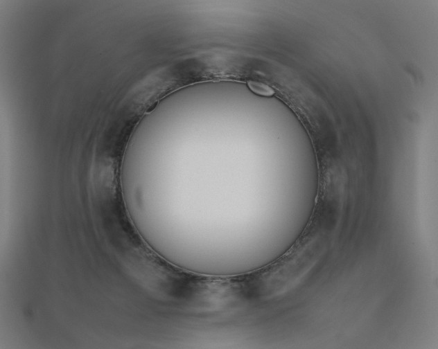 X0000112490121200908171256