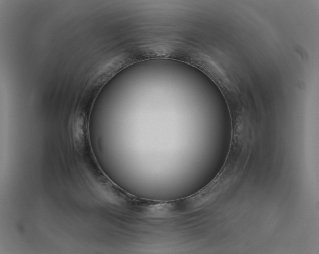 X0000112490122200908171256