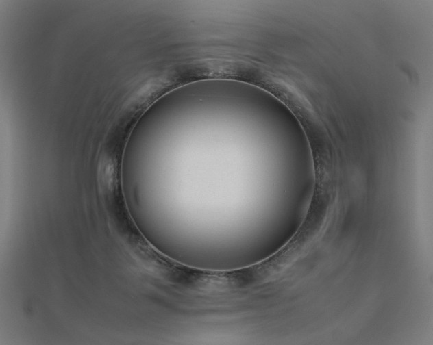 X0000112490123200908171256