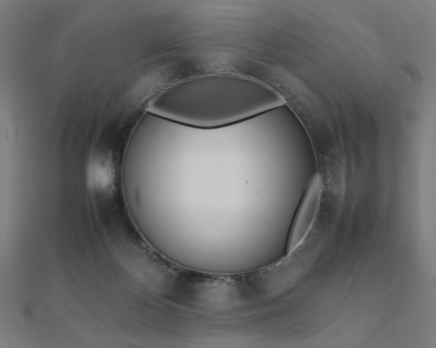X0000112490124200908171255