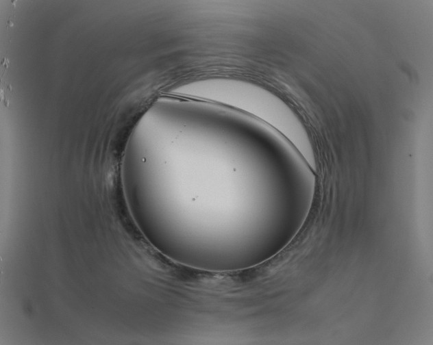 X0000112490125200908171255