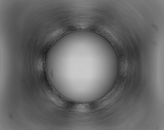 X0000112490126200908171255