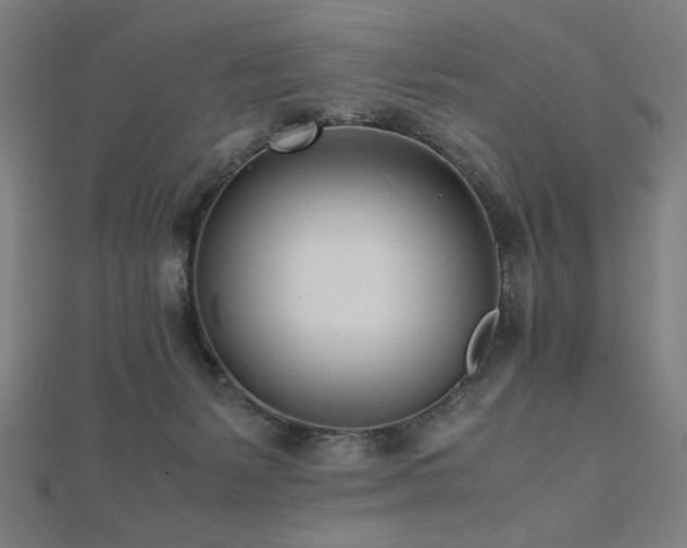 X0000112490127200908171255