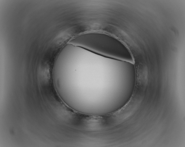 X0000112490128200908171255