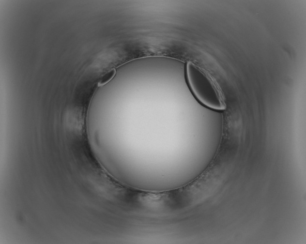 X0000112490129200908171255