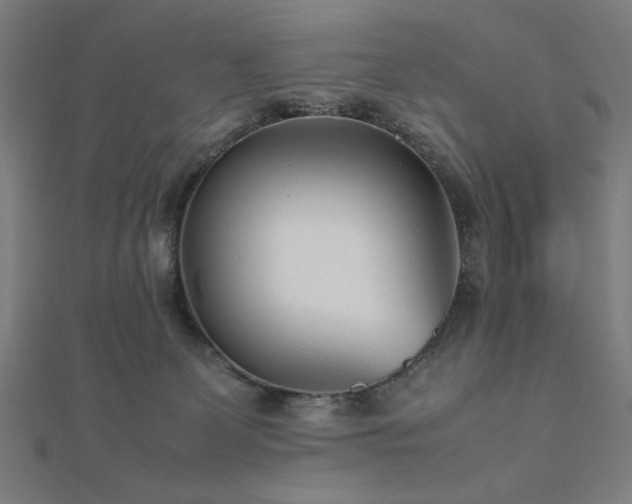 X0000112490131200908171255