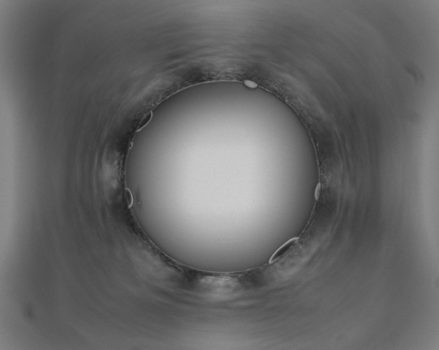 X0000112490133200908171255