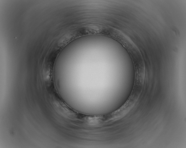 X0000112490134200908171255
