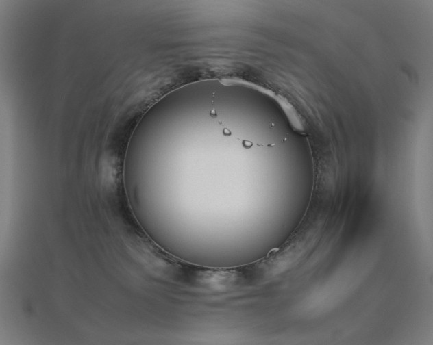 X0000112490135200908171255
