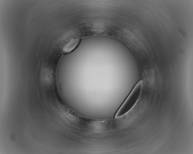 X0000112490136200908171255