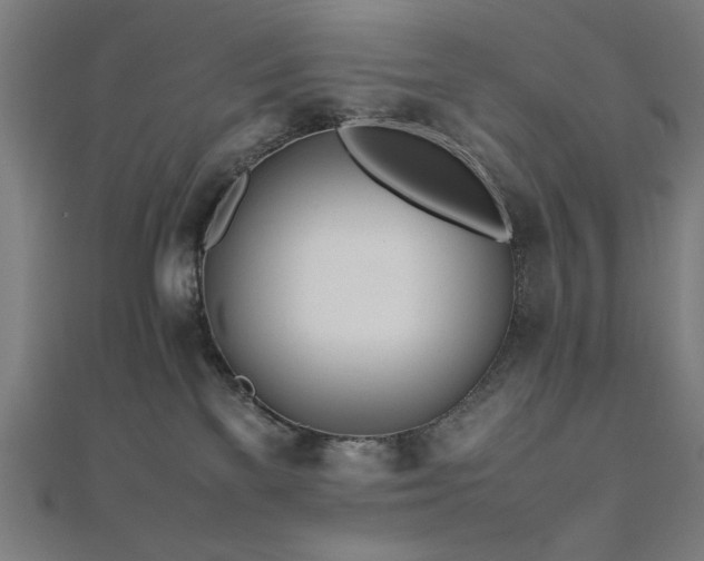 X0000112490137200908171255