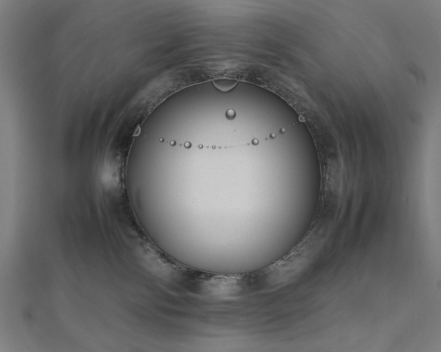 X0000112490138200908171255