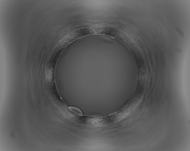 X0000112490139200908171255