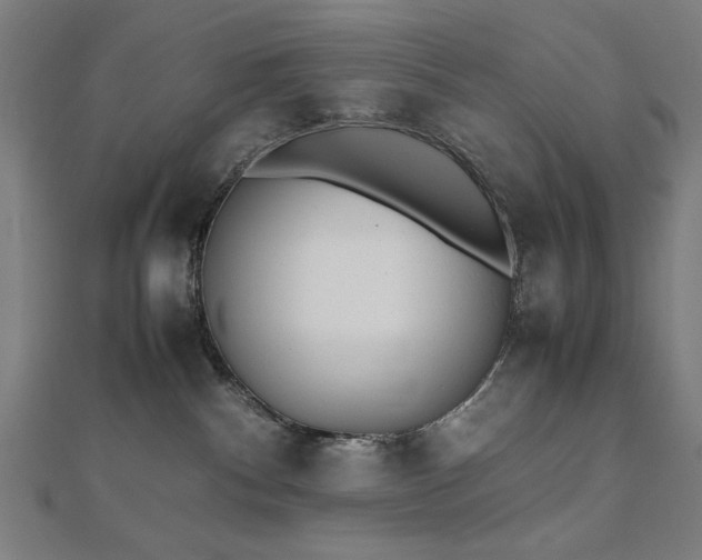X0000112490140200908171255
