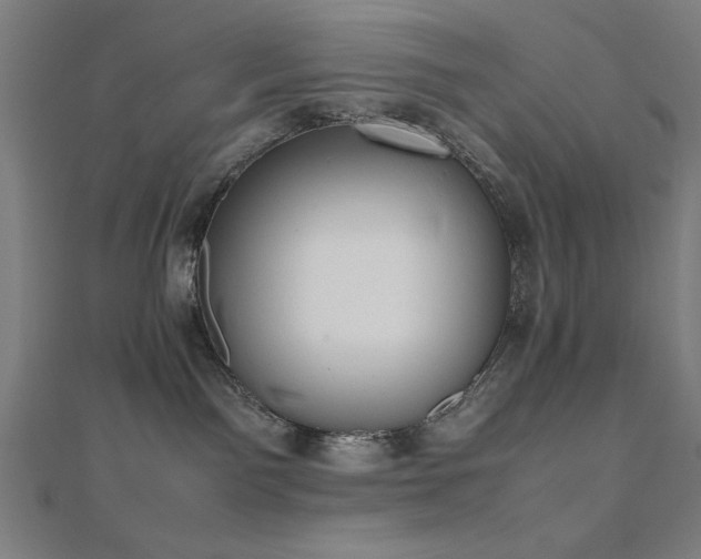 X0000112490141200908171255