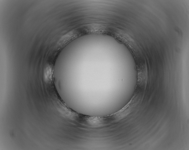 X0000112490142200908171255