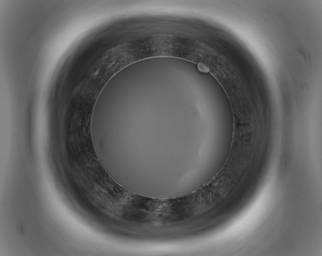 X0000112490143200908171255