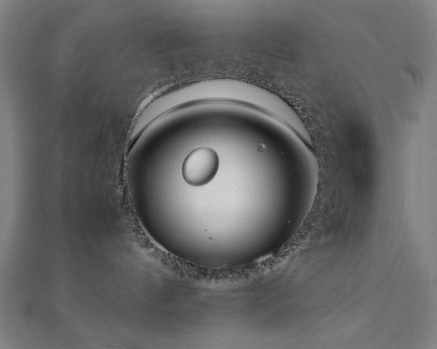 X0000112490144200908171255