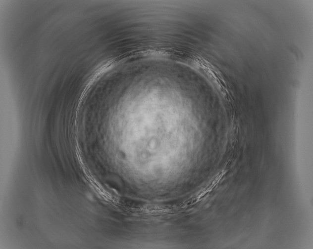 X0000112490145200908171254