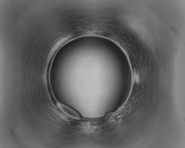 X0000112490147200908171254