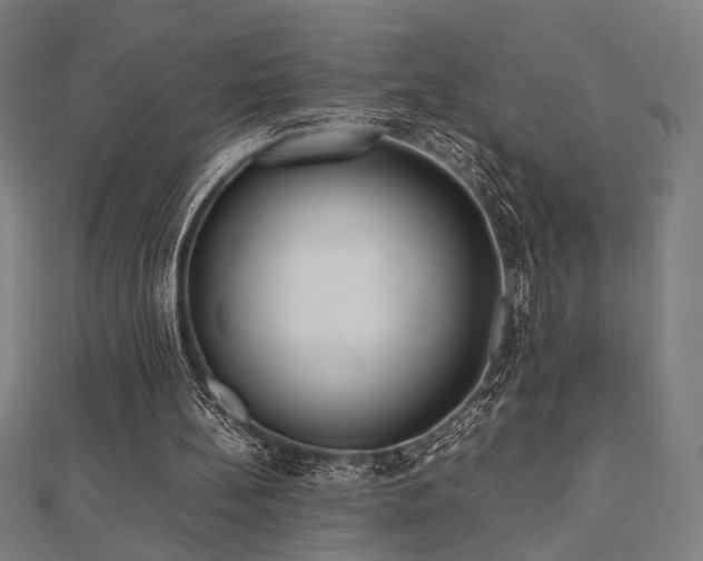 X0000112490148200908171254