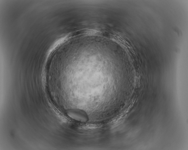 X0000112490149200908171254