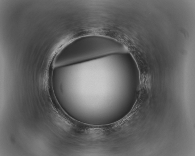 X0000112490150200908171254
