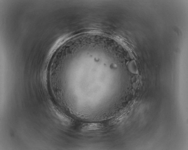 X0000112490151200908171254