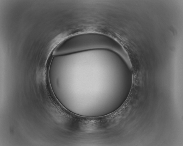 X0000112490152200908171254