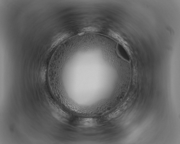 X0000112490153200908171254