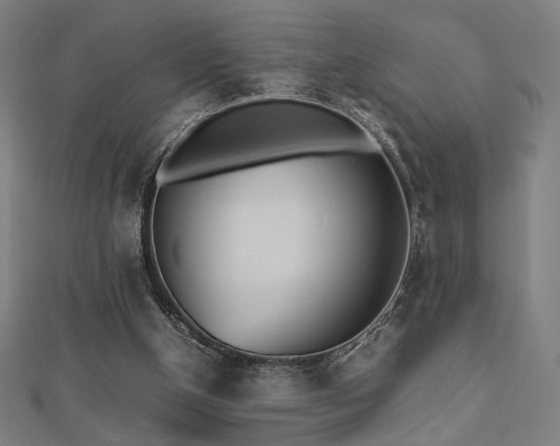 X0000112490154200908171254