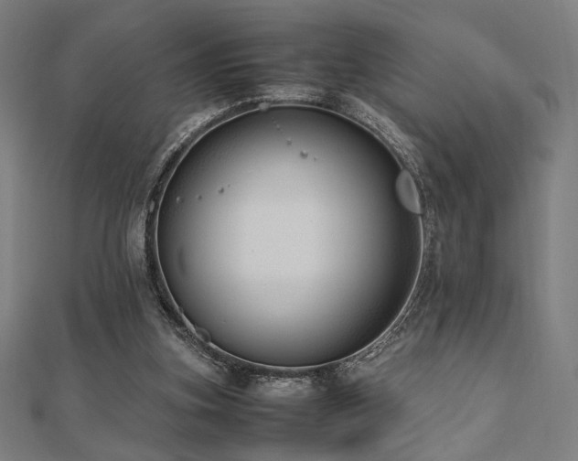 X0000112490155200908171254