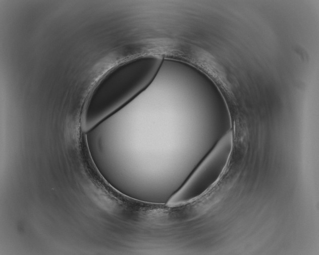 X0000112490156200908171255