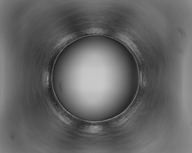 X0000112490157200908171255
