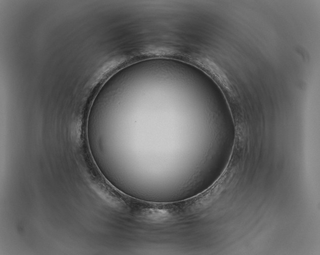 X0000112490159200908171255