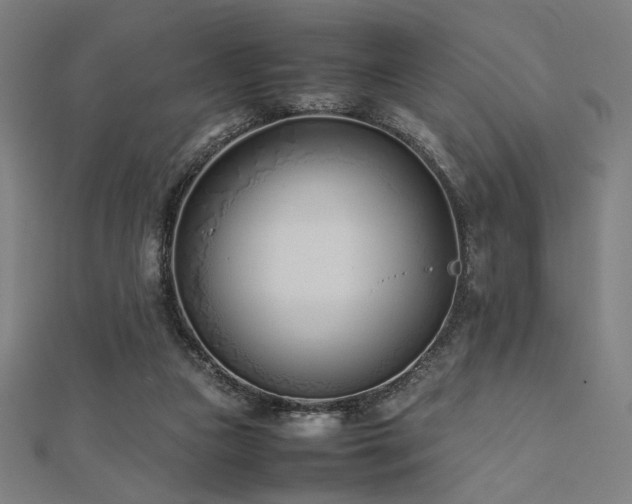 X0000112490161200908171255