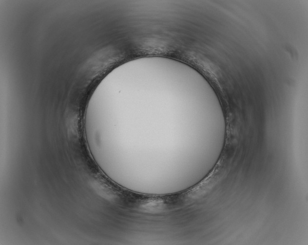X0000112490162200908171255