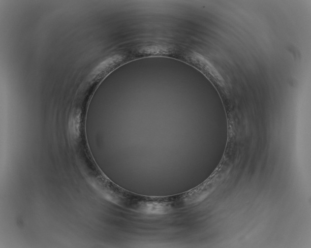X0000112490163200908171255