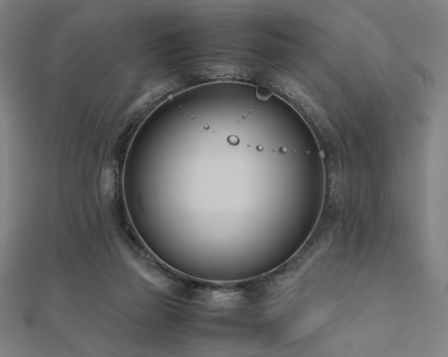 X0000112490165200908171255