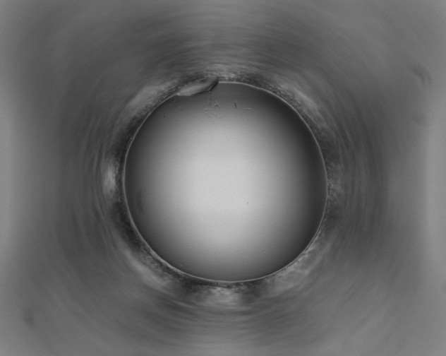 X0000112490166200908171255