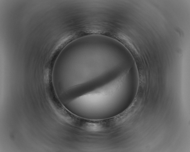 X0000112490167200908171255