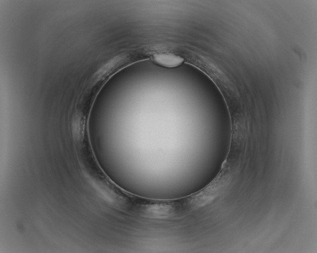 X0000112490168200908171255