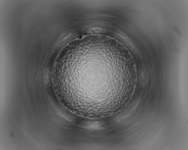 X0000112490169200908171255