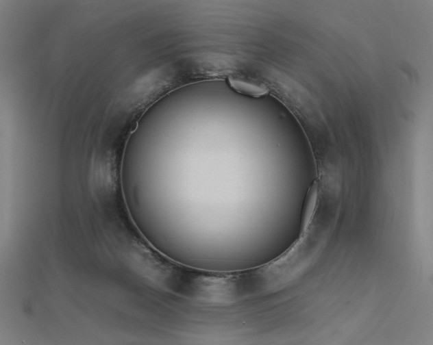 X0000112490170200908171255